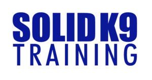 Logo of solid K9 dog training in bold blue letters against a transparent background.