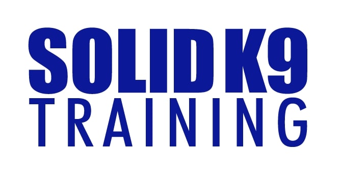 Logo of solid k9 dog training featuring bold, blue uppercase letters on a white background.