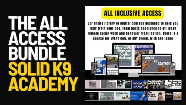 Promotional graphic for the