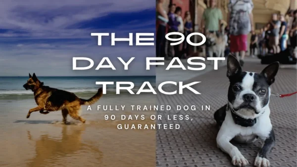 Advertisement for the