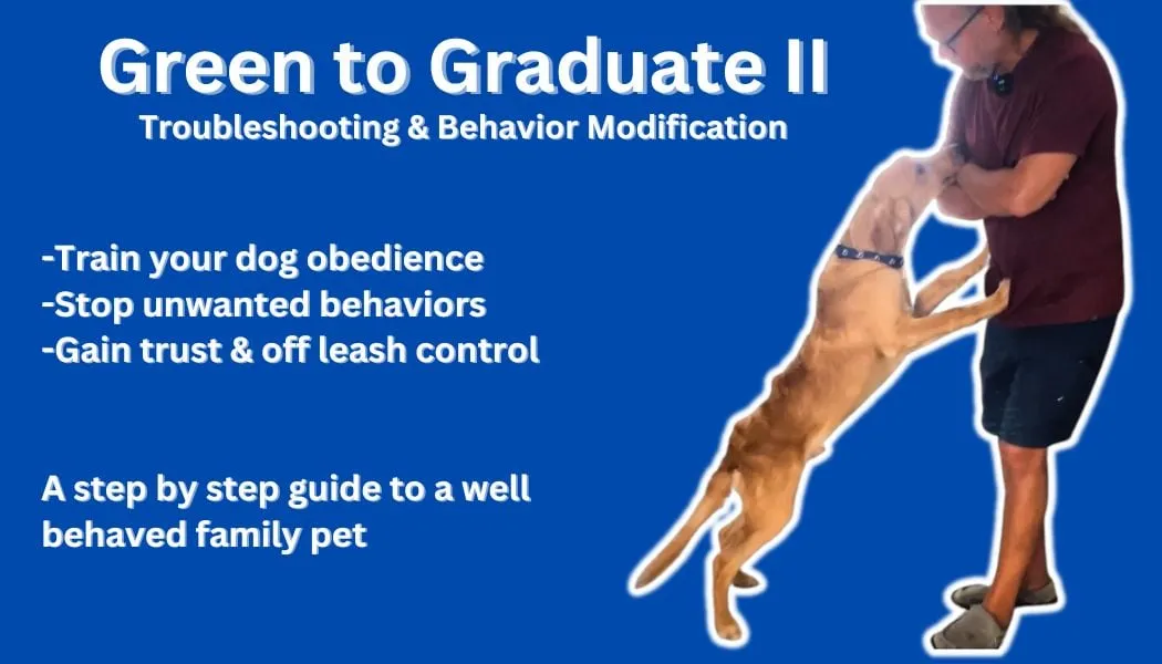Off leash obedience dog training shop