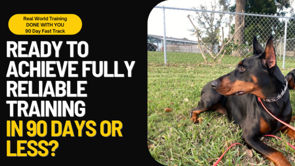 The 90 Day Fast Track Coaching