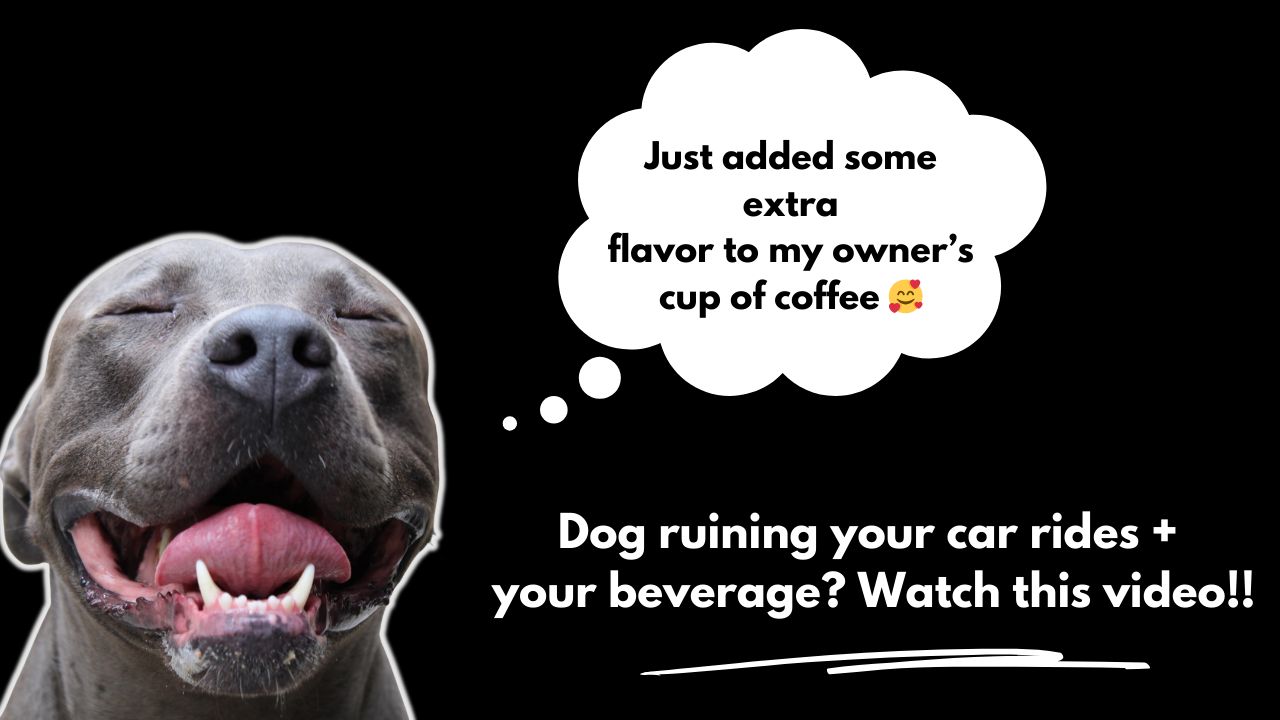 A dog with its eyes closed and mouth open is shown. A thought bubble above its head reads,